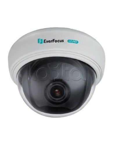 AHD-камера видеонаблюдения купольная EverFocus ED-910F в Саратове Аналоговые камеры Pintop.ru